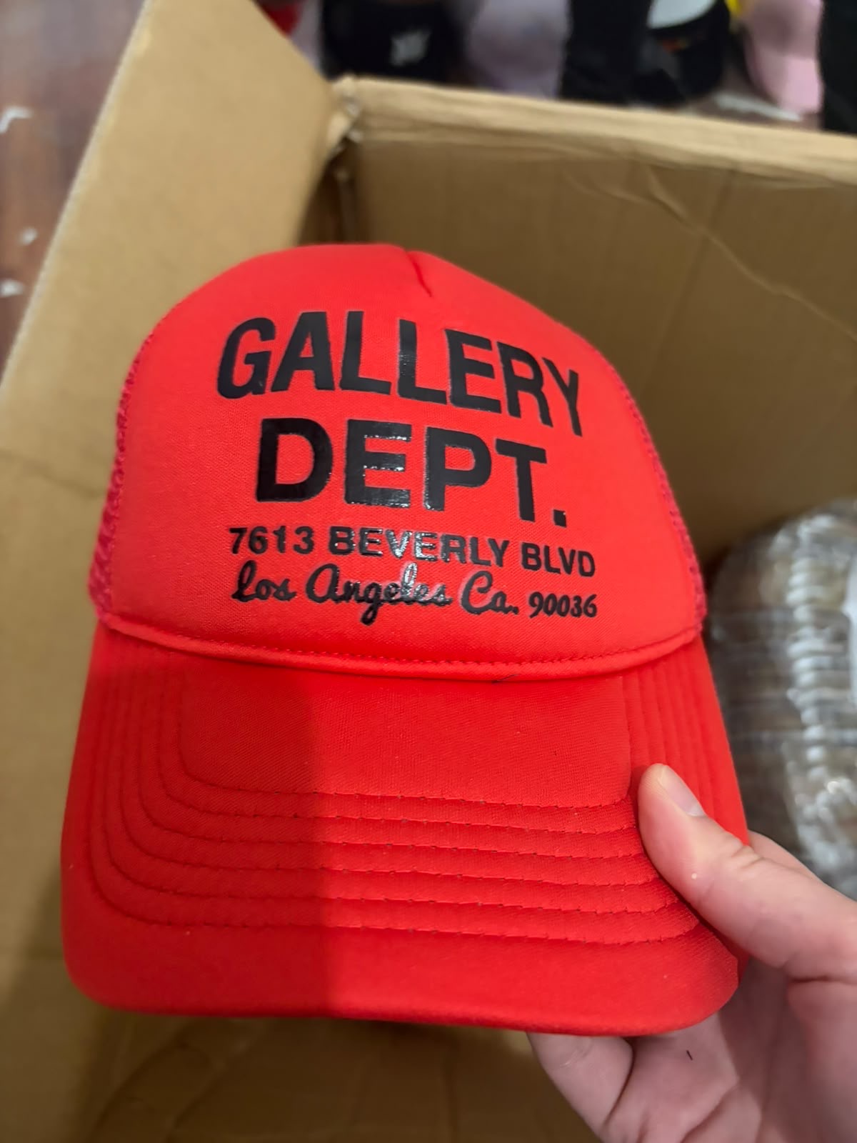 Gorra 008