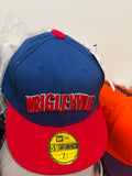 Gorra 026